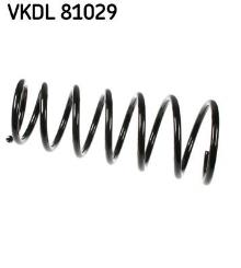 SKF VKDL 81029